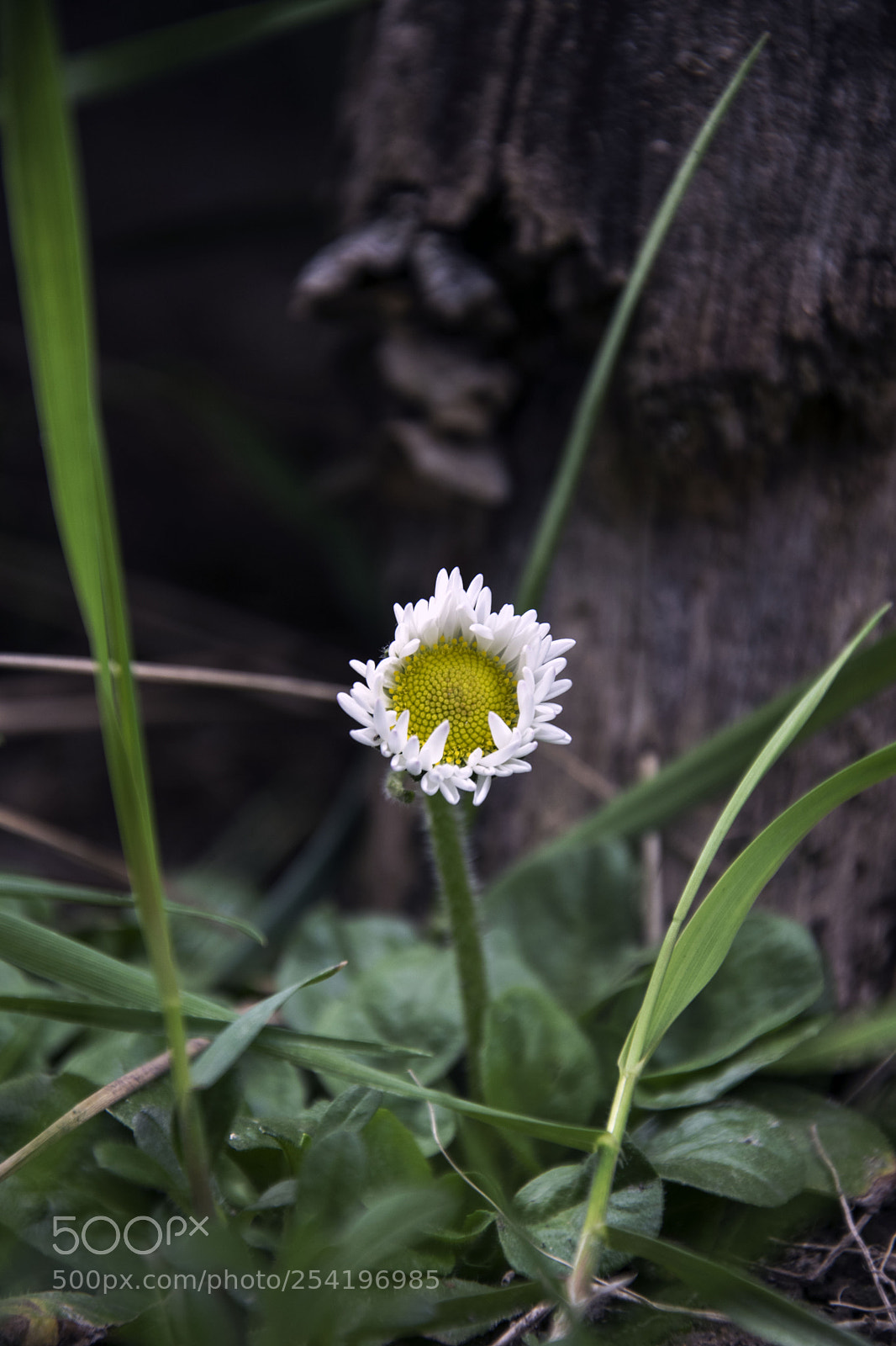 Nikon D5300 sample photo. Untitled photography