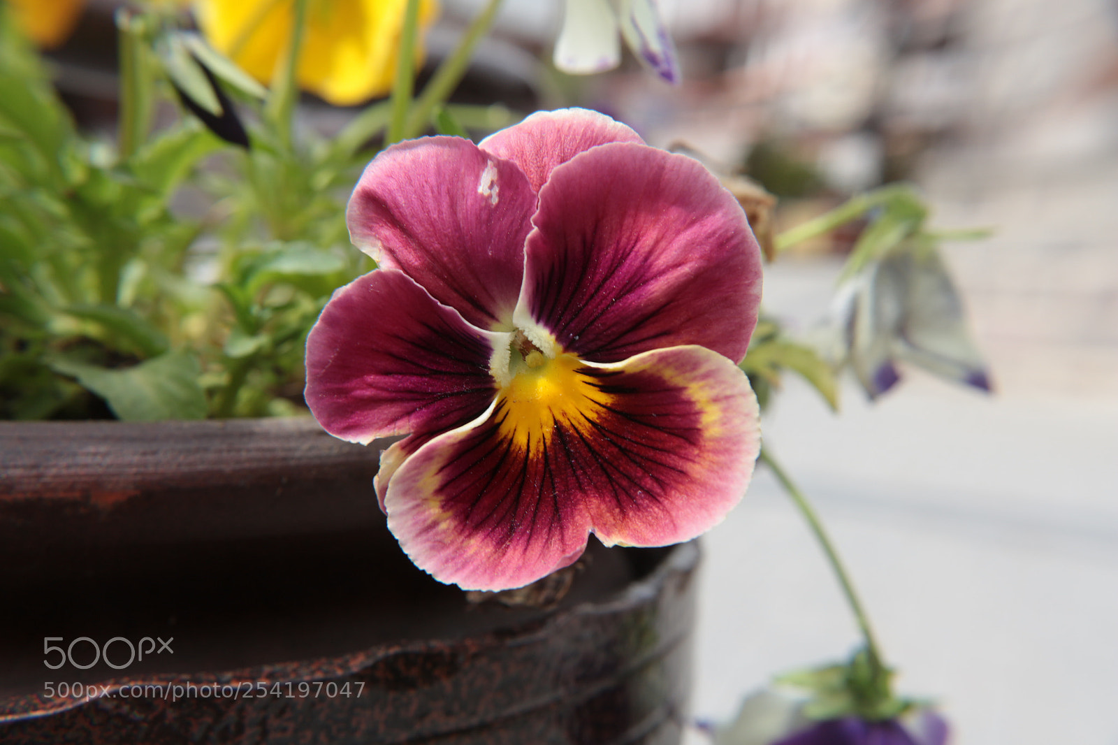 Canon EOS 700D (EOS Rebel T5i / EOS Kiss X7i) sample photo. Ankara photography