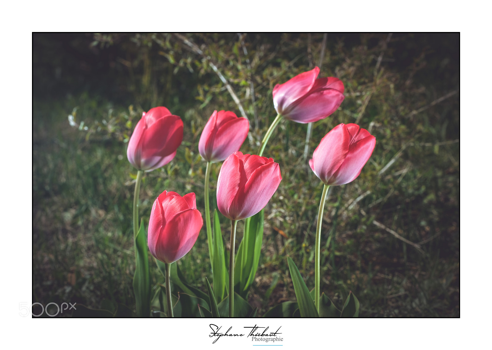 Fujifilm X-T2 sample photo. Les danseuses photography