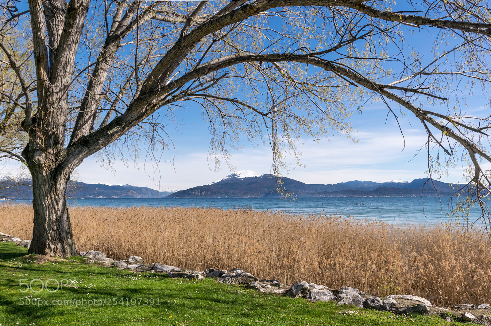 Nikon D5300 sample photo. Peace in sirmione, lago photography