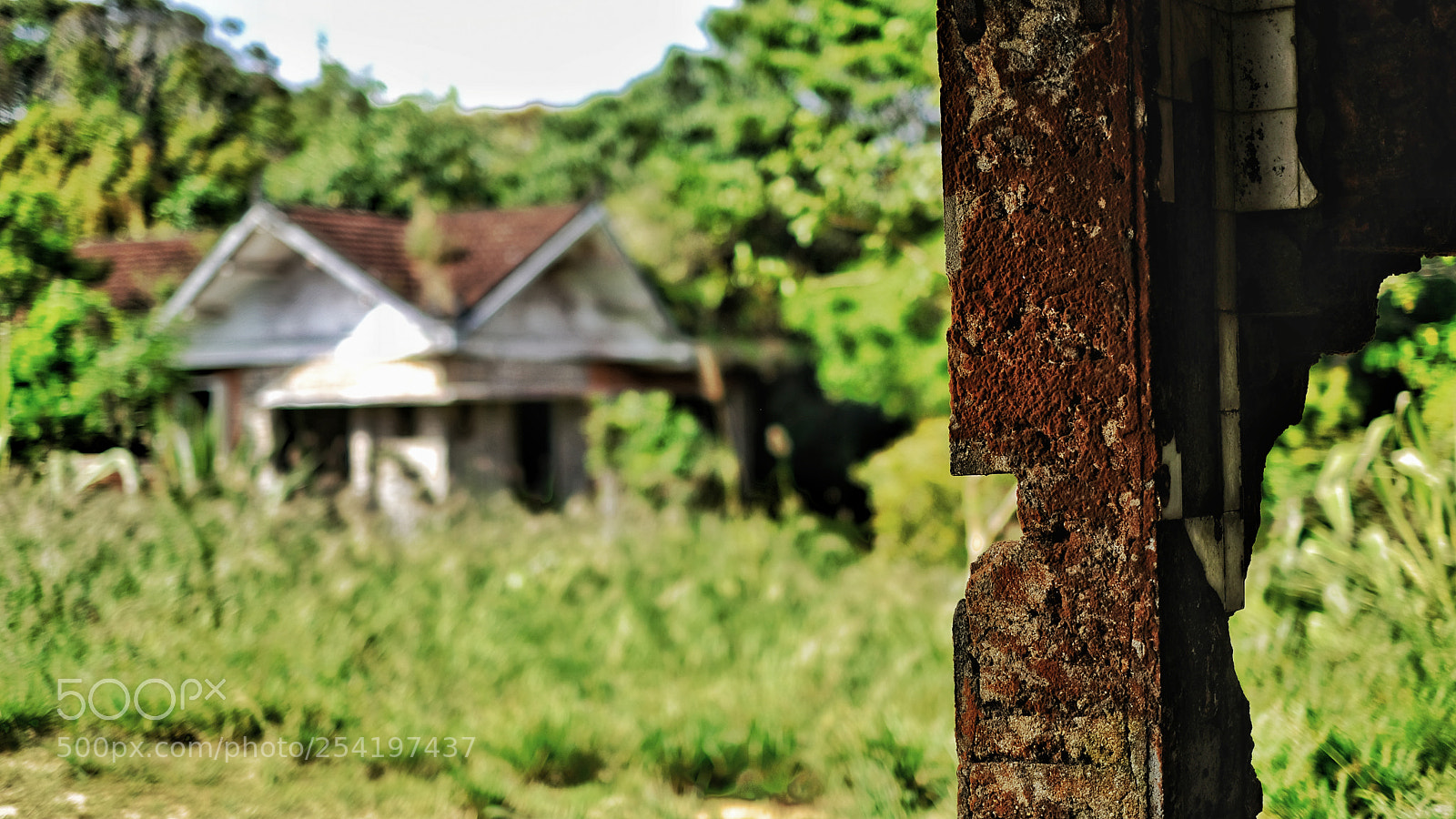 Fujifilm X-T20 sample photo. Bokor rust photography