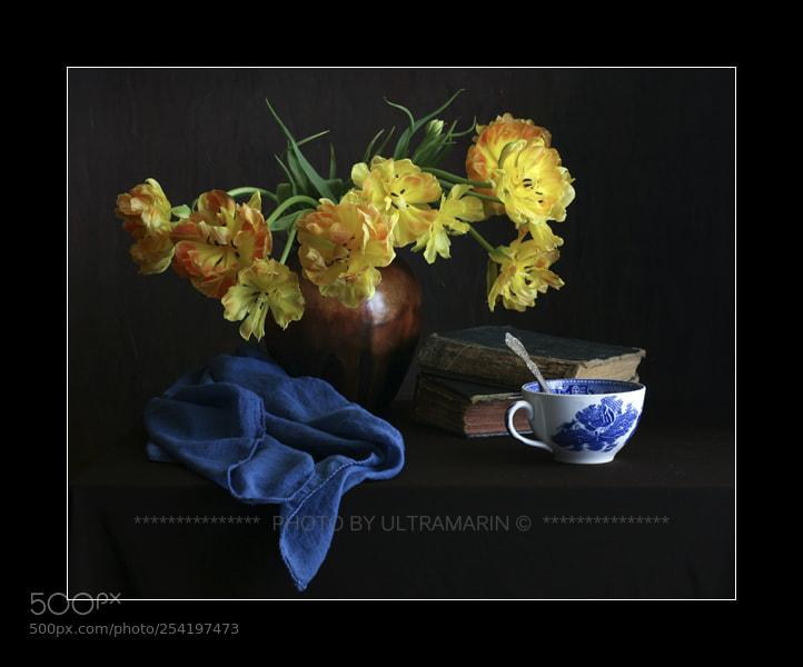 Canon EOS 5D sample photo. Tulips photography