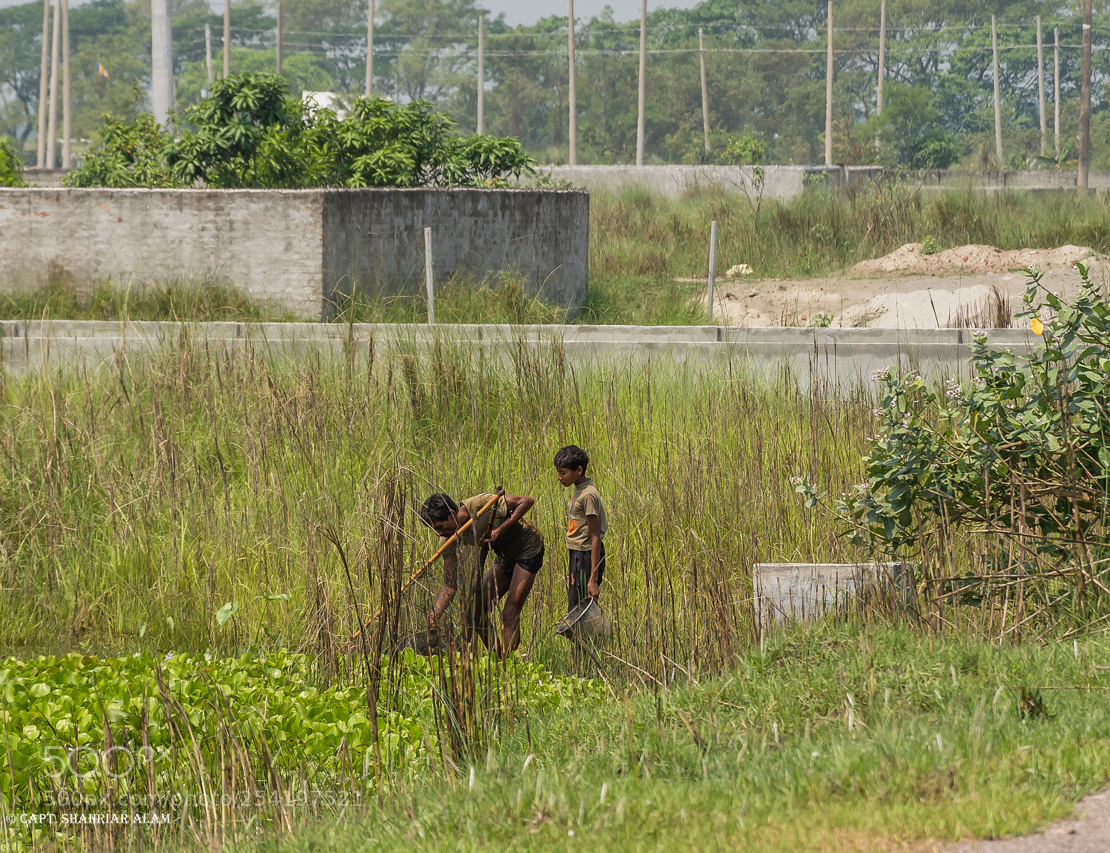 Nikon D7200 sample photo. Survival photography