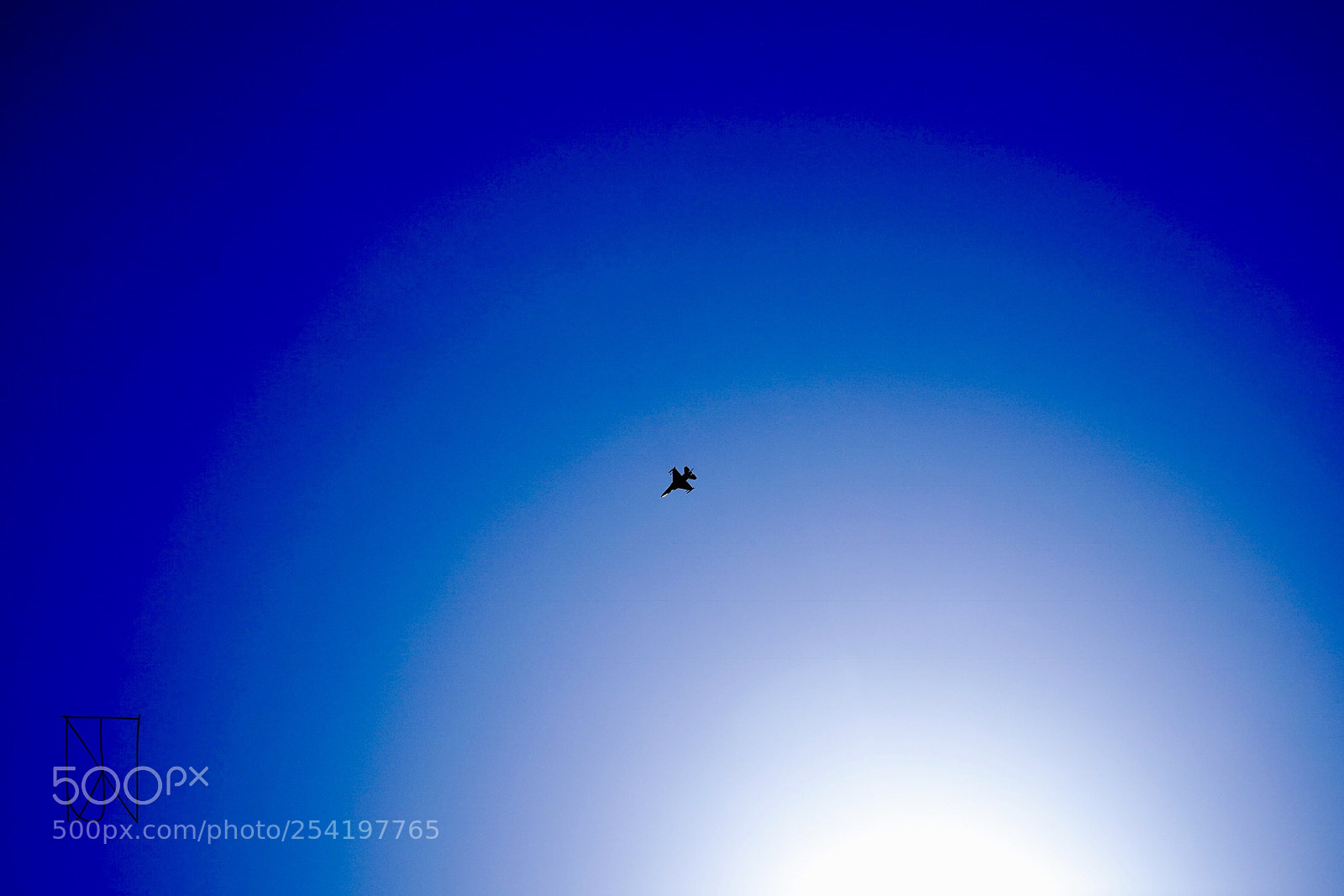 Sony a9 sample photo. The sky above photography