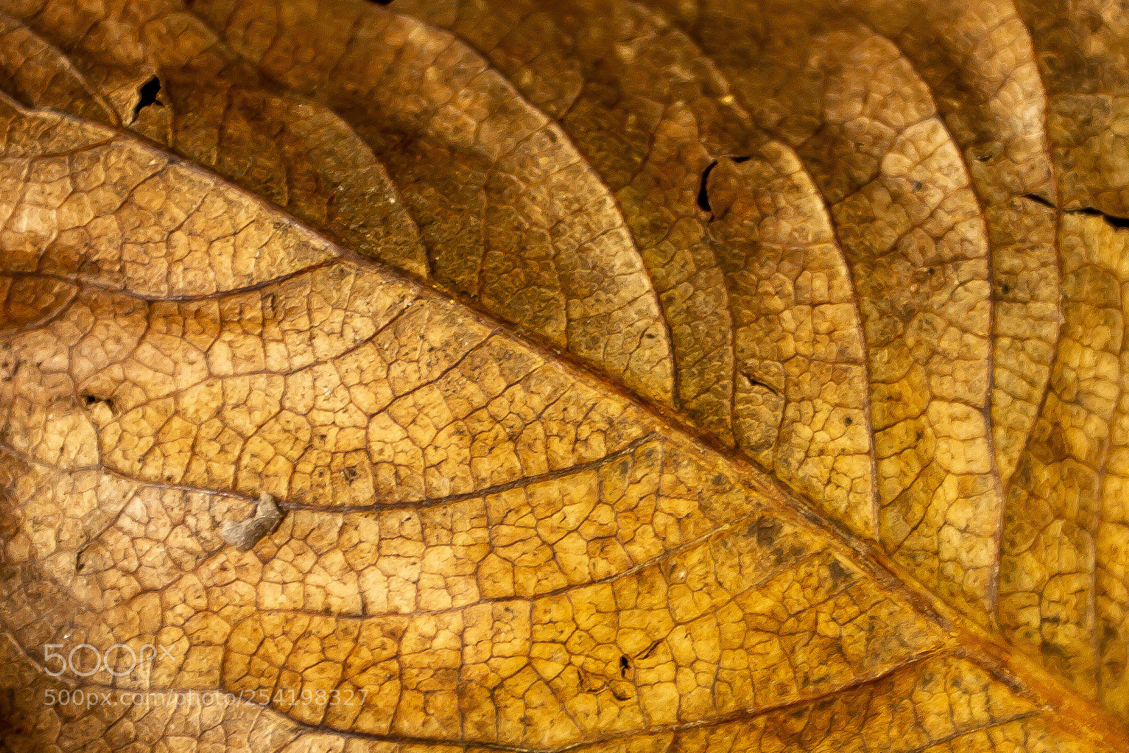 Canon EOS 7D sample photo. Architecture of life photography
