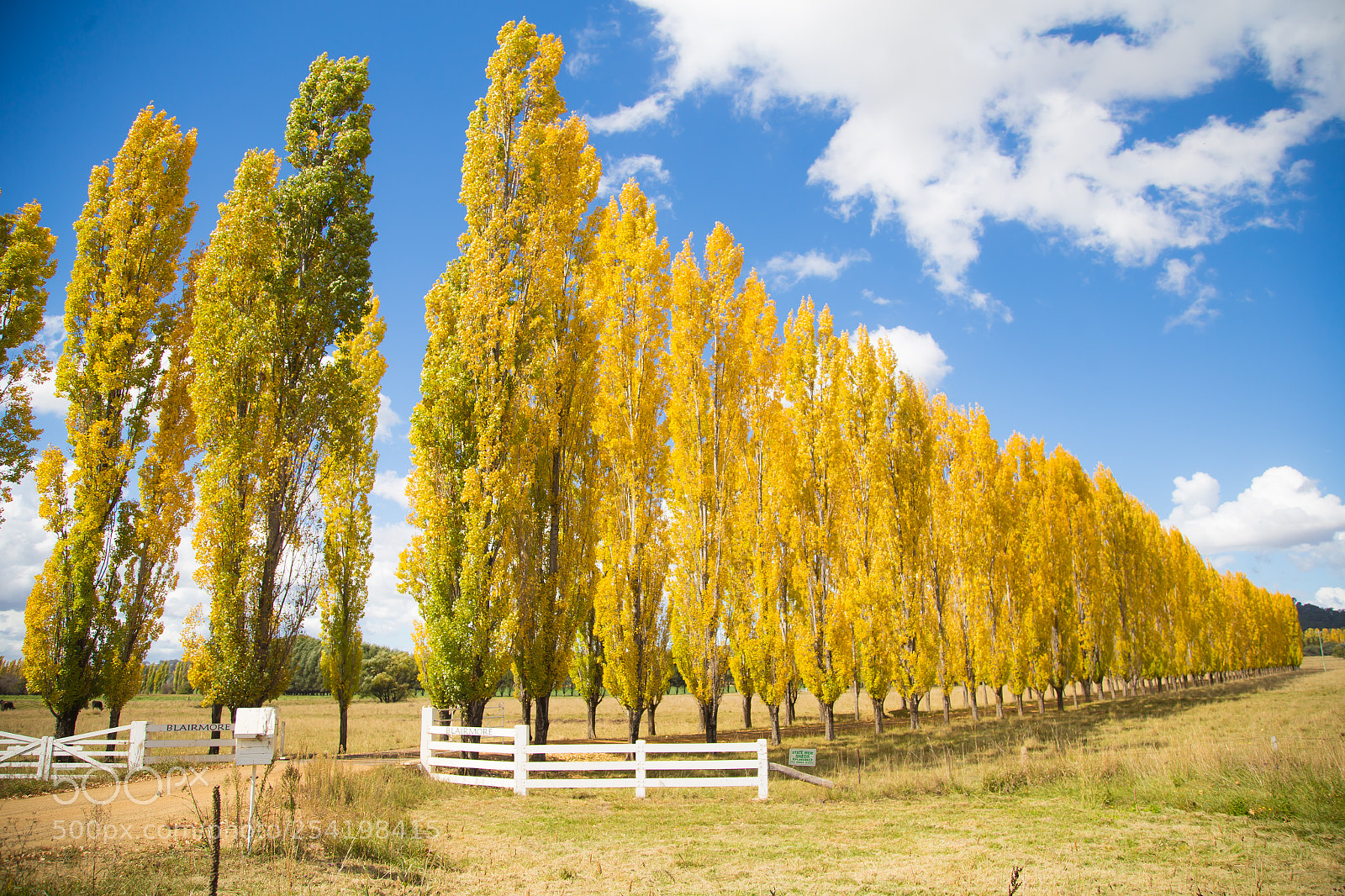 Canon EOS 6D sample photo. Fall colours photography