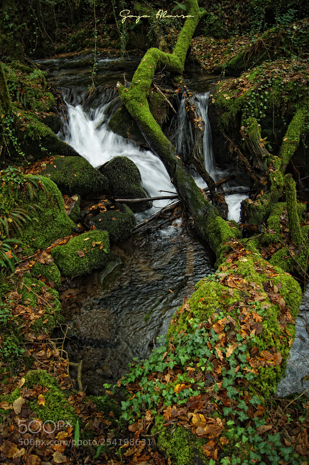 Sony Alpha DSLR-A290 sample photo. Rincon de agua photography