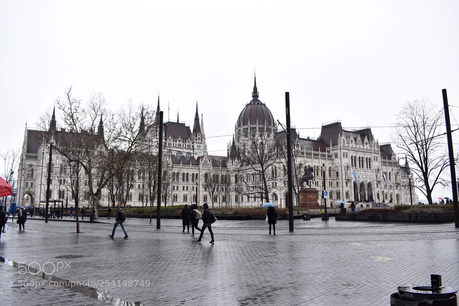 Nikon D5600 sample photo. Duma photography