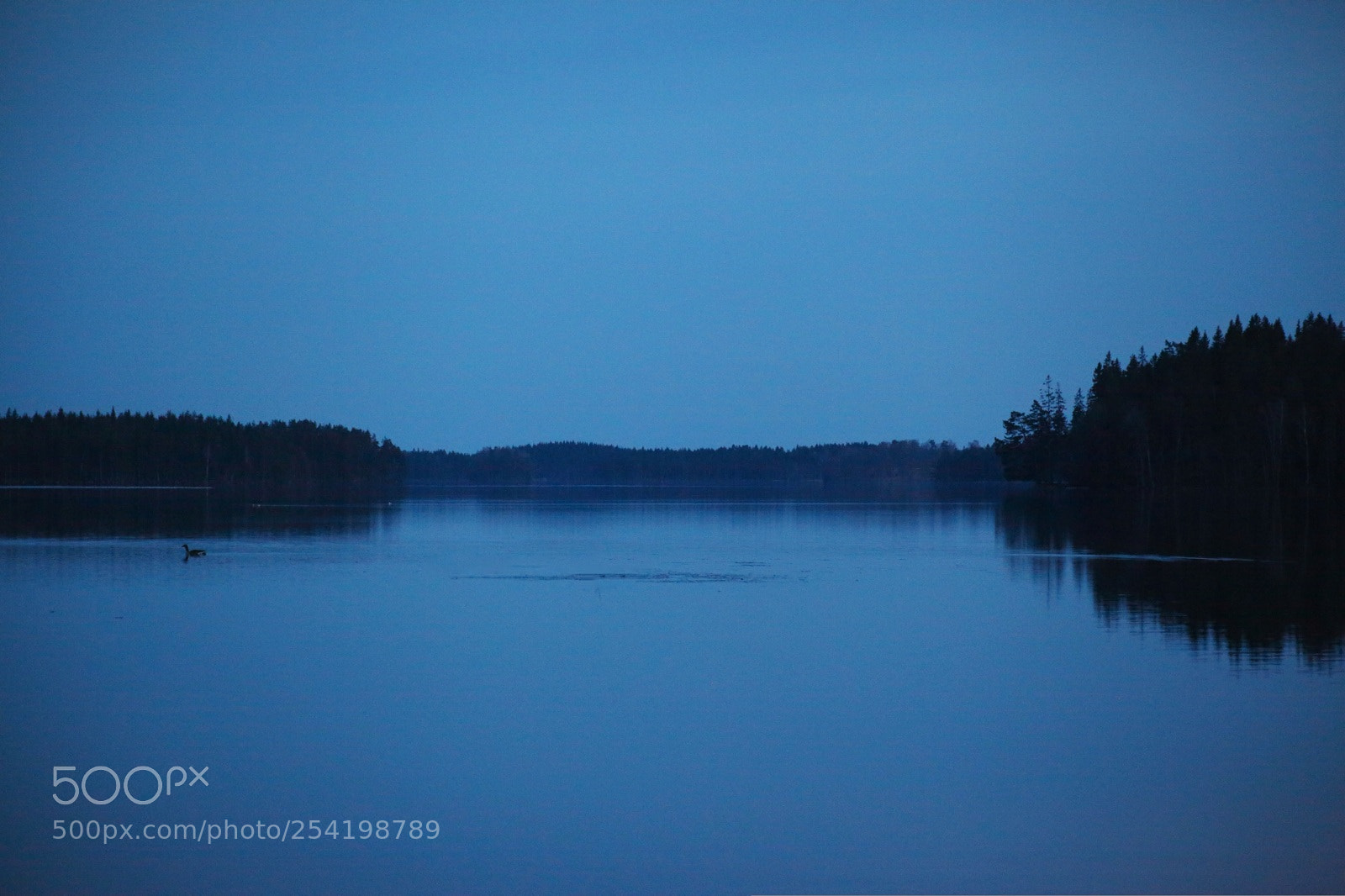 Canon EOS 5D Mark II sample photo. Blue photography