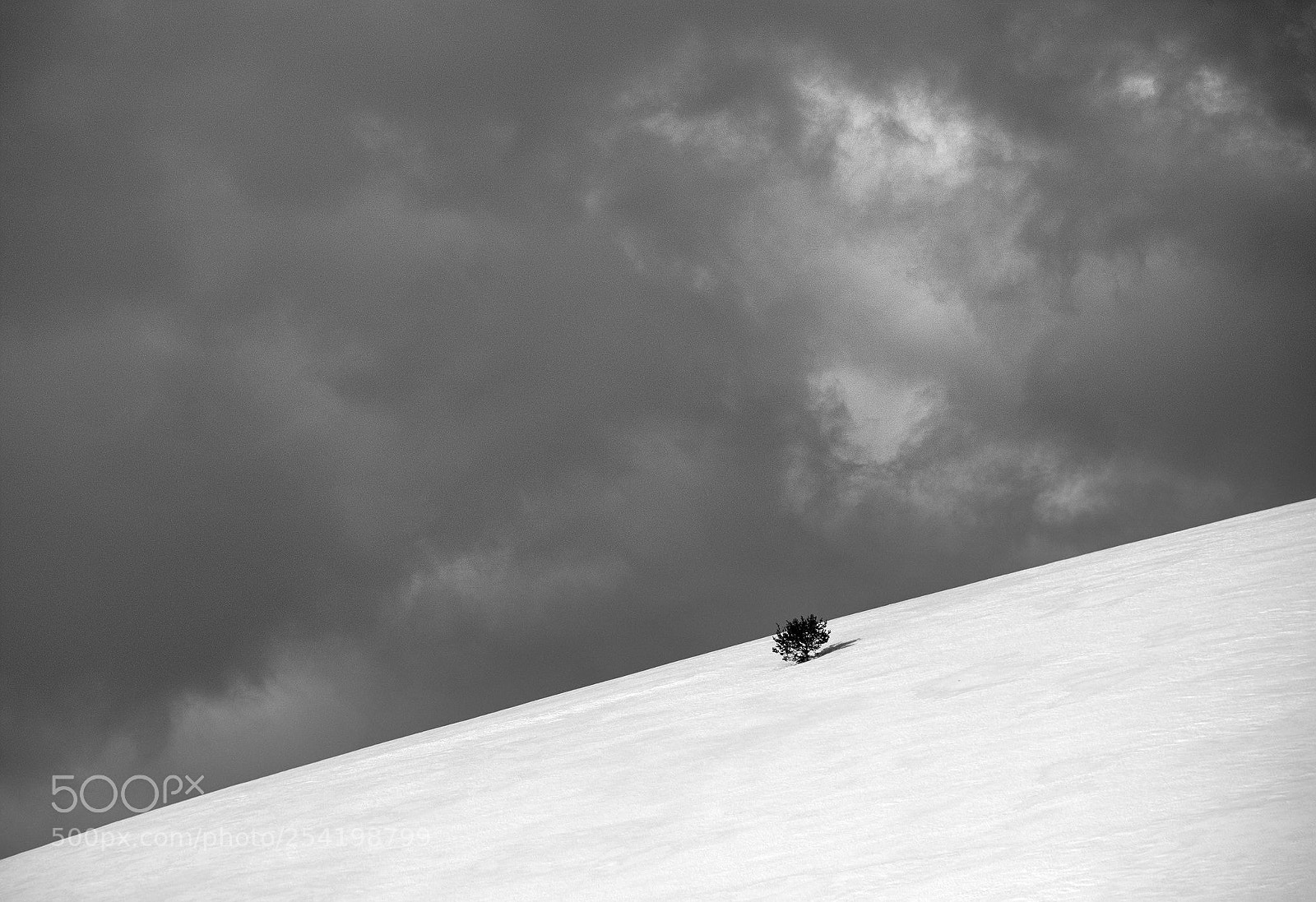 Fujifilm X-T2 sample photo. Ciel couvert photography