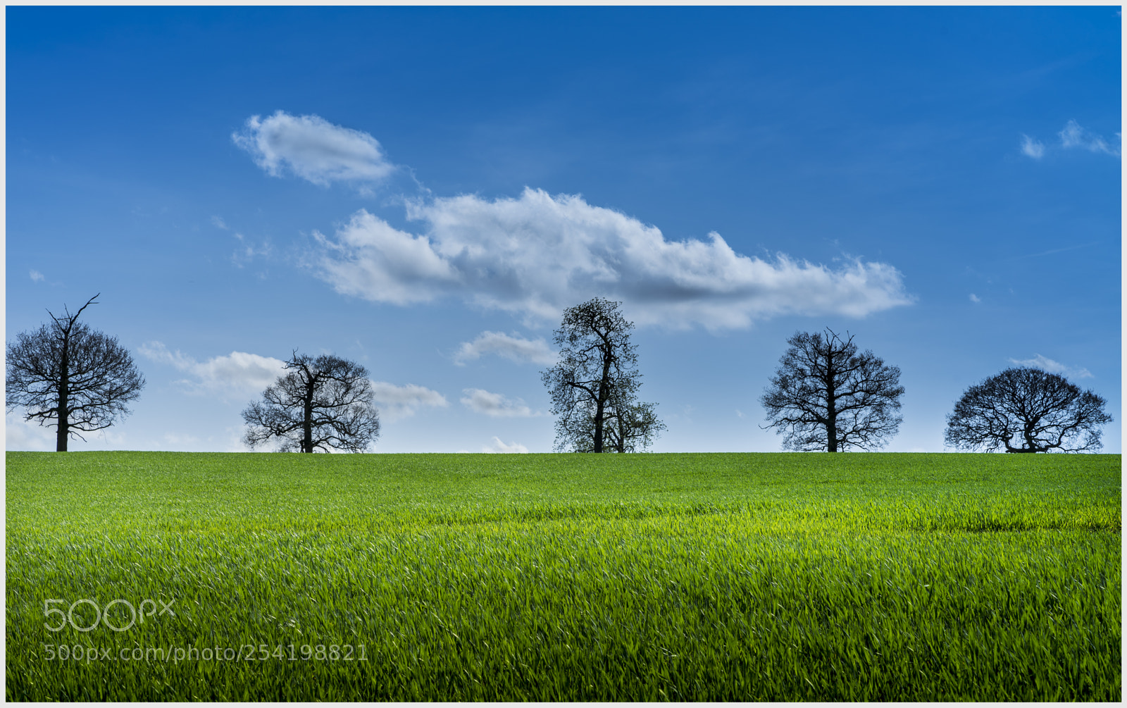 Sony a7 II sample photo. Simple landscape photography