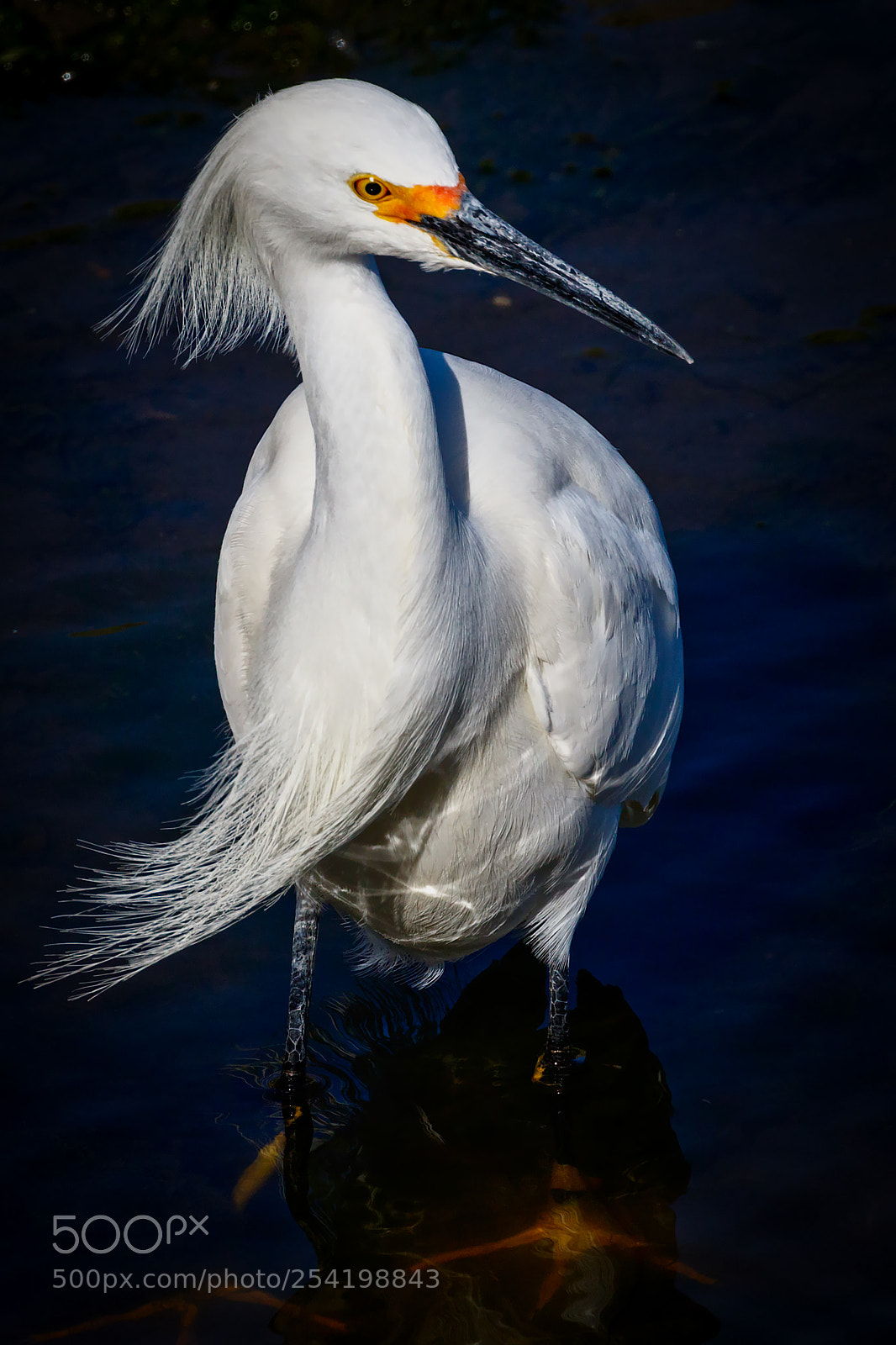 Canon EOS 7D Mark II sample photo. The portrait of a photography