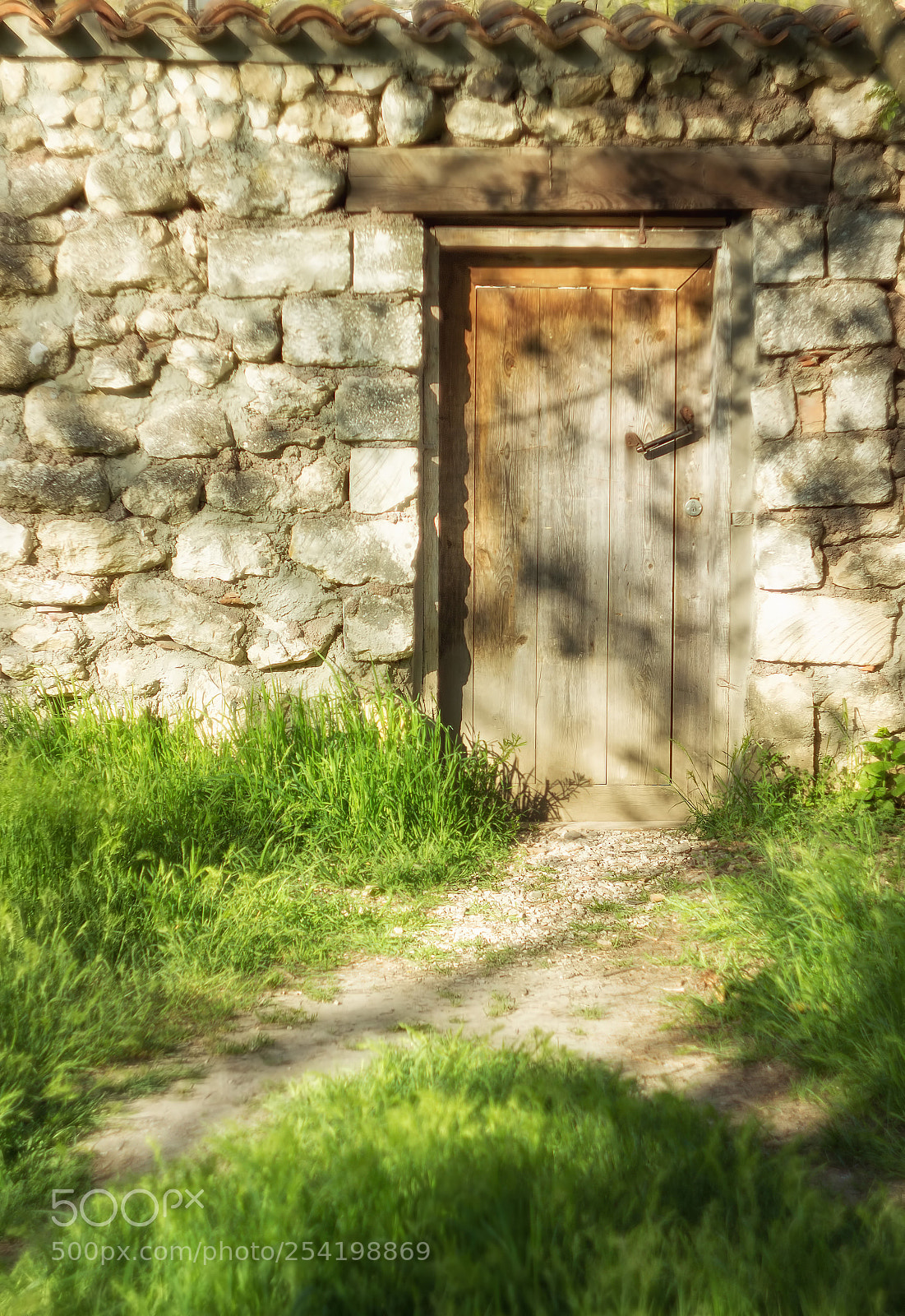 Canon EOS 600D (Rebel EOS T3i / EOS Kiss X5) sample photo. Door photography