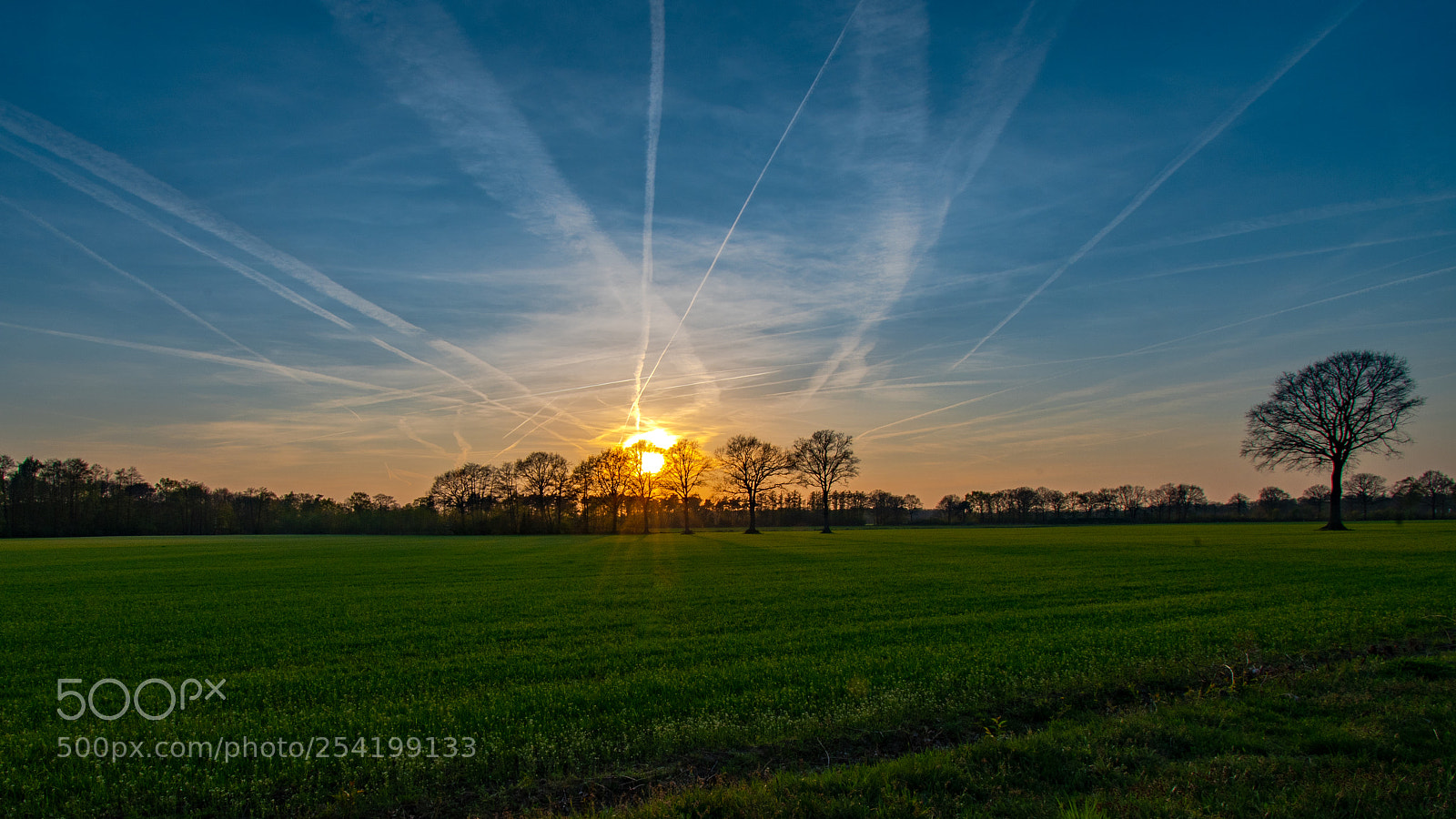 Nikon D500 sample photo. Mooi twente photography