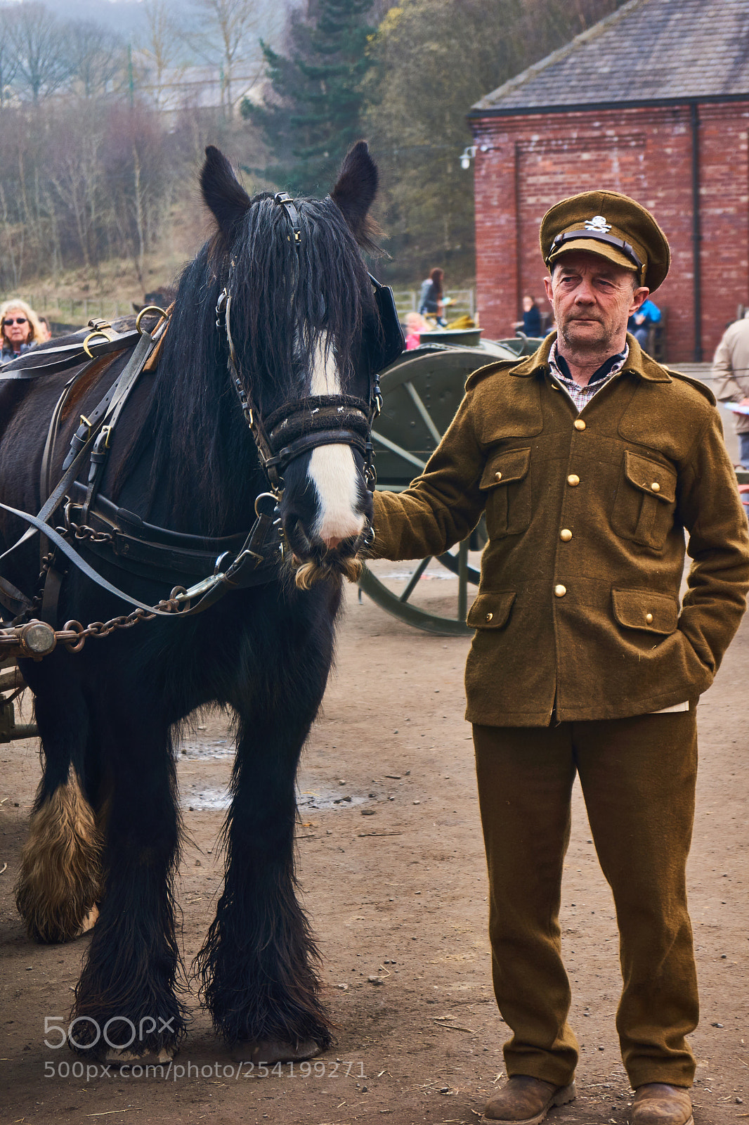 Sony SLT-A65 (SLT-A65V) sample photo. Horses at war photography