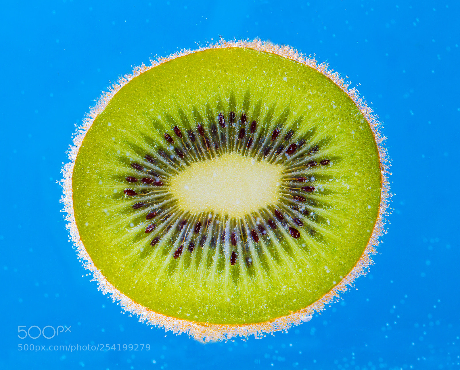 Canon EOS 60D sample photo. Kiwi fresh water bubbles photography