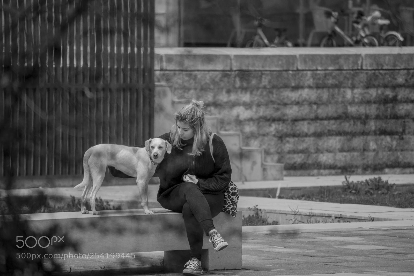 Nikon D610 sample photo. Street photography photography