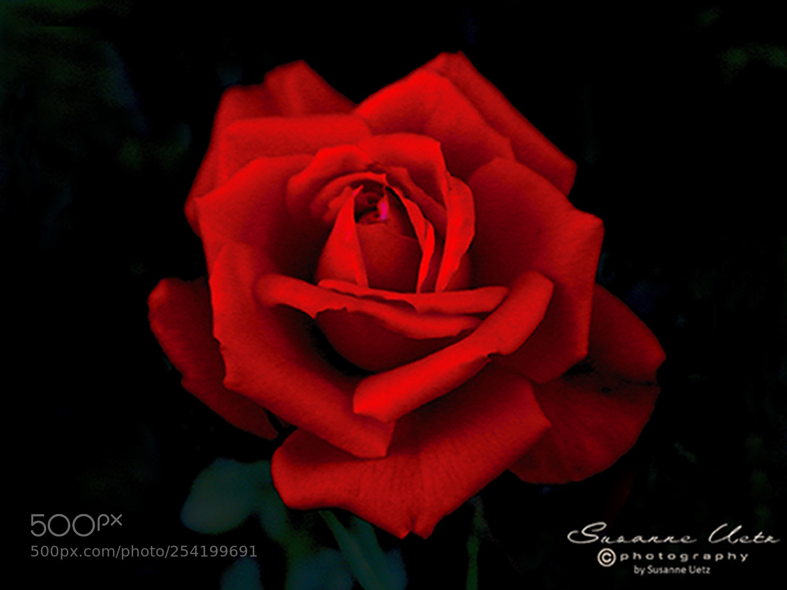 Canon EOS M10 sample photo. Love at first sight photography
