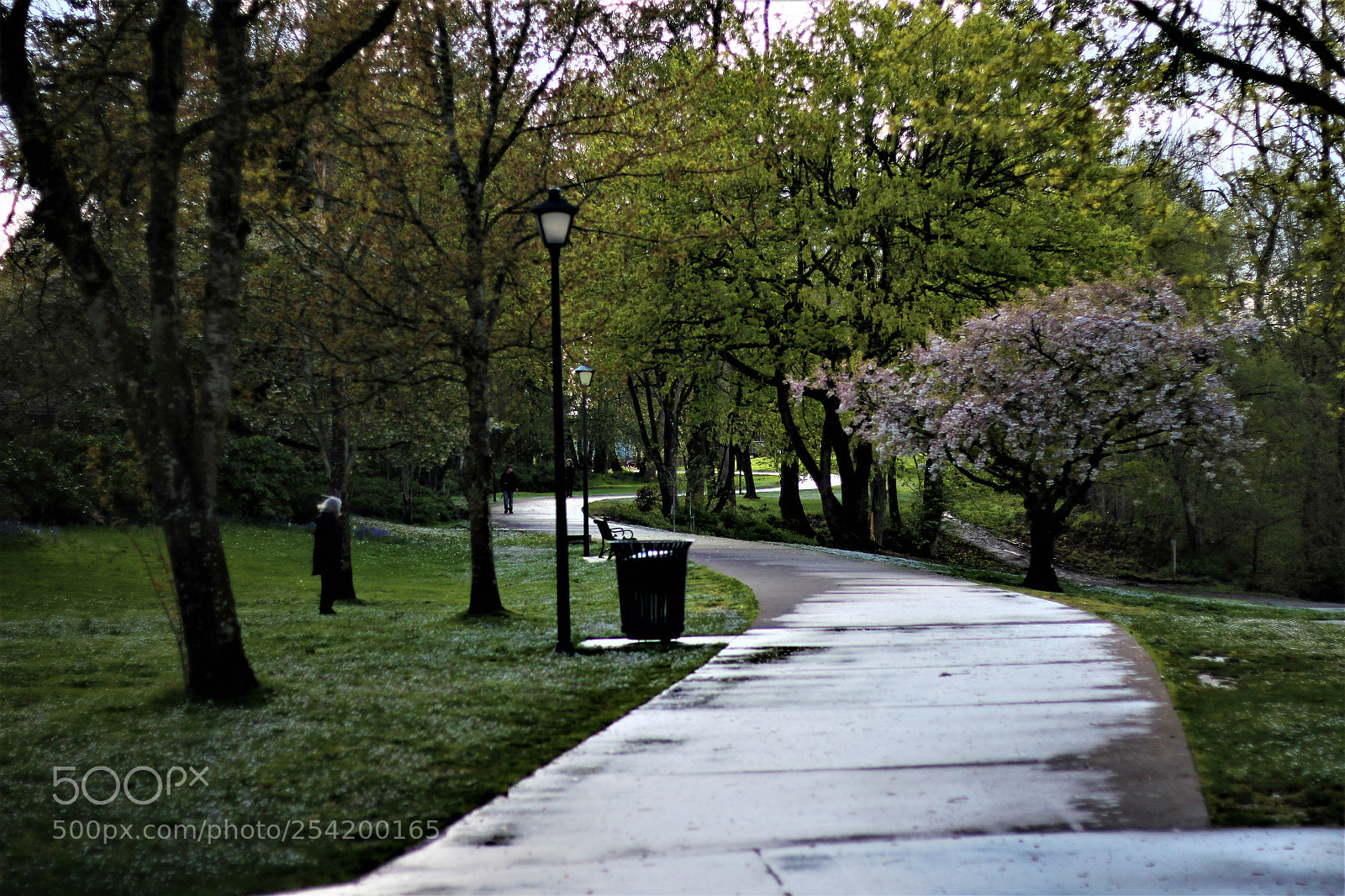 Canon EOS 600D (Rebel EOS T3i / EOS Kiss X5) sample photo. Winding walks photography