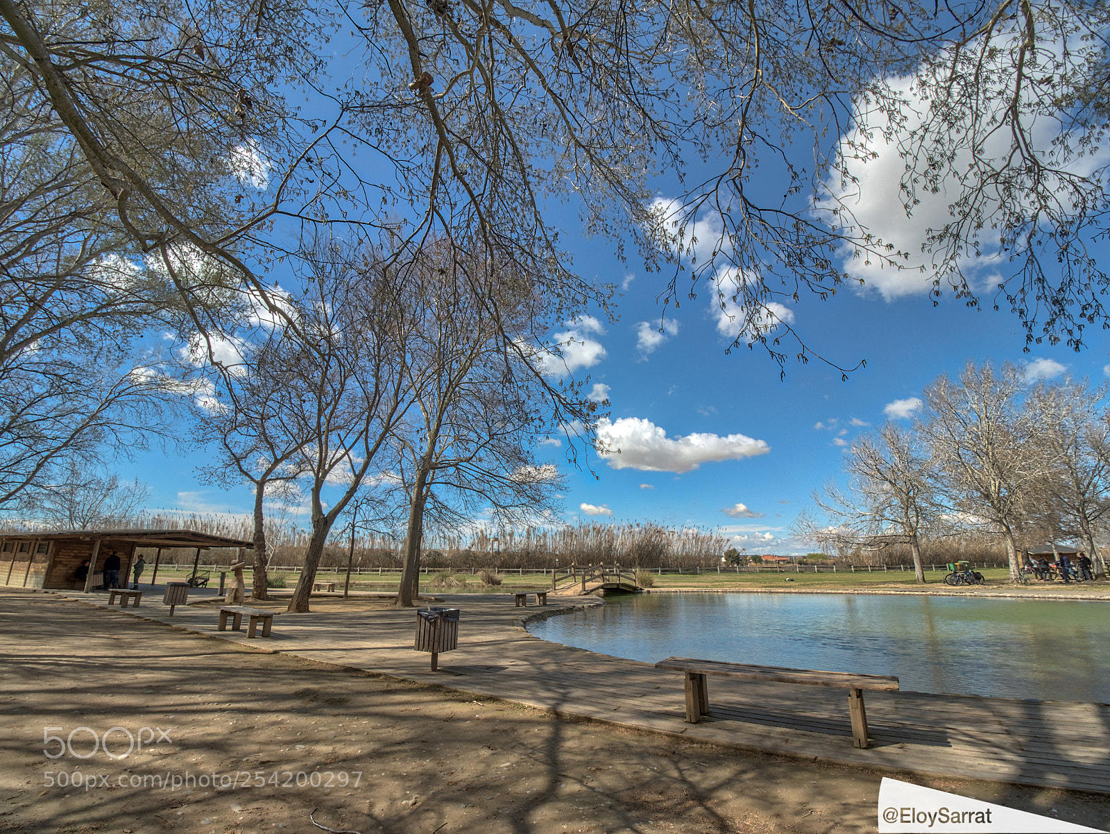 Olympus OM-D E-M5 II sample photo. Natural parc la mitjana photography