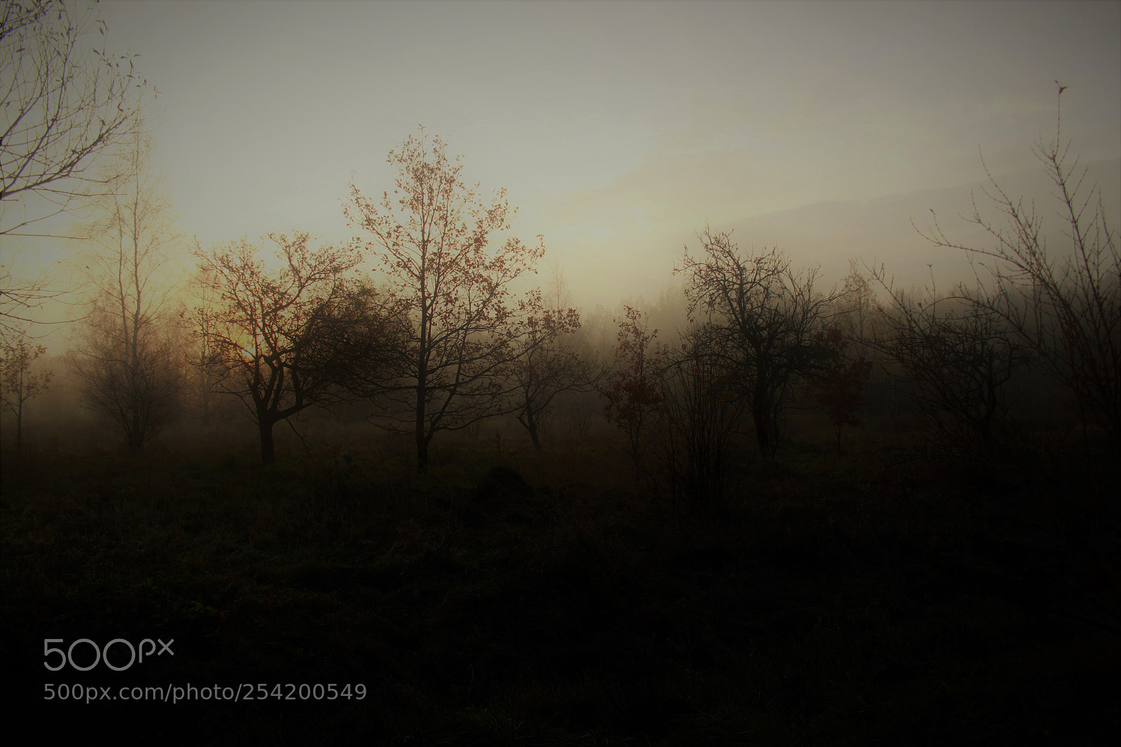 Canon EOS 500D (EOS Rebel T1i / EOS Kiss X3) sample photo. Autumn dawn photography