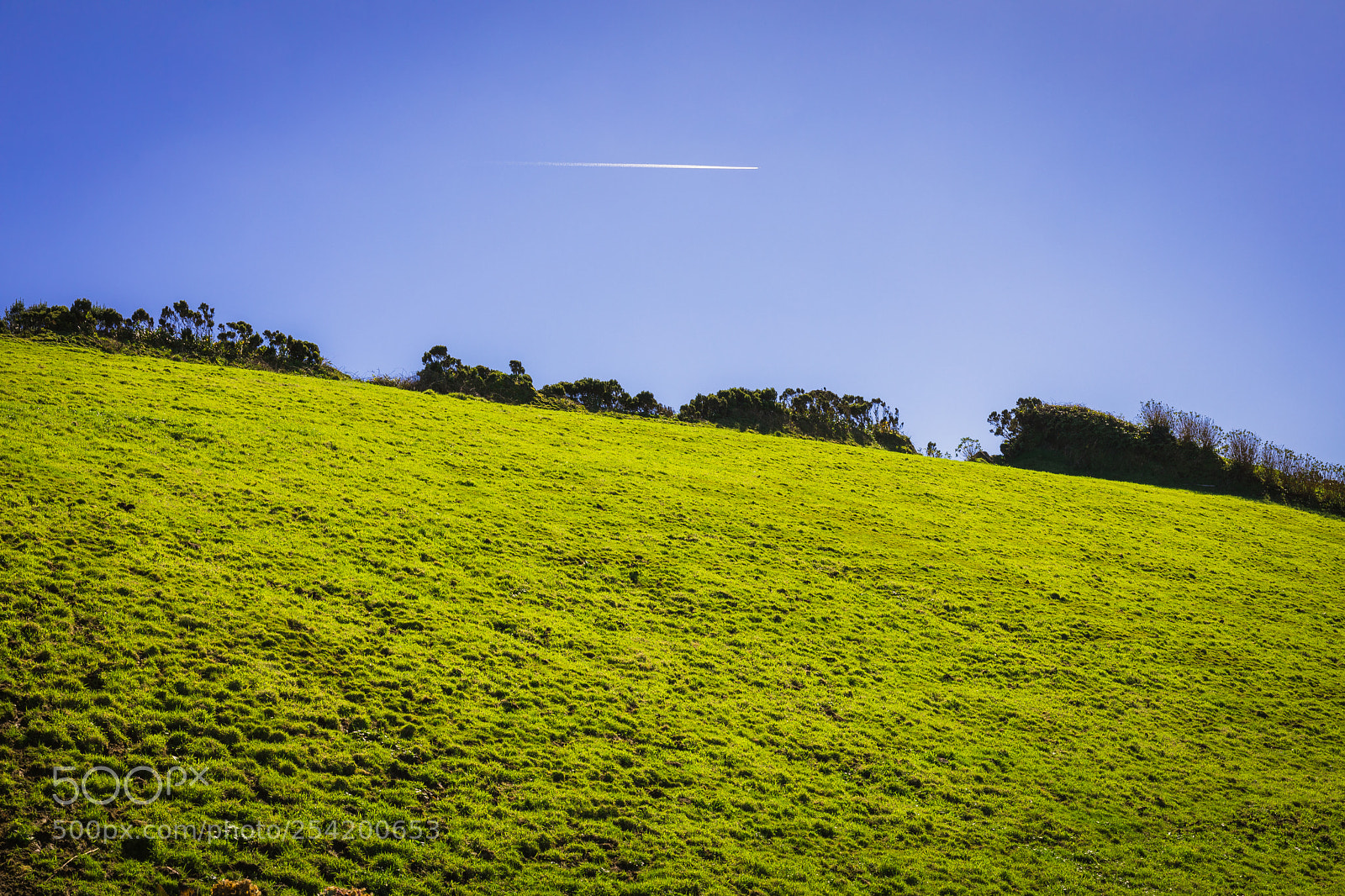 Canon EOS 5D Mark IV sample photo. Azores #11 photography