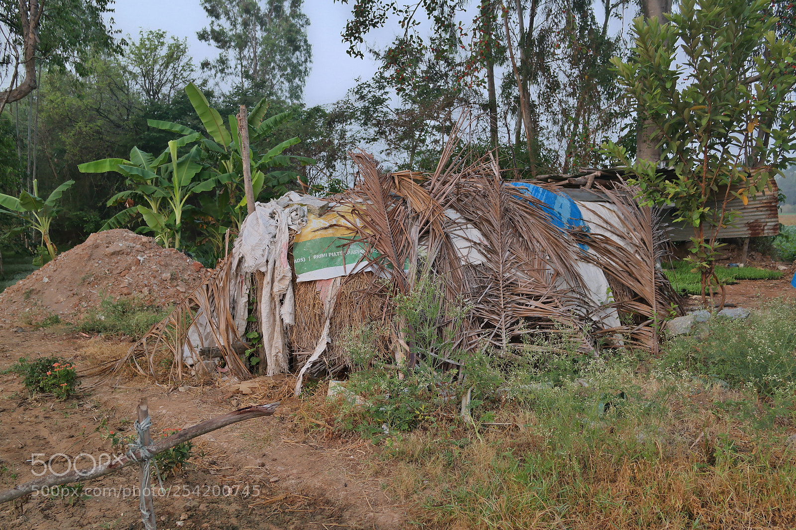 Samsung NX2000 sample photo. Morning ride through village photography
