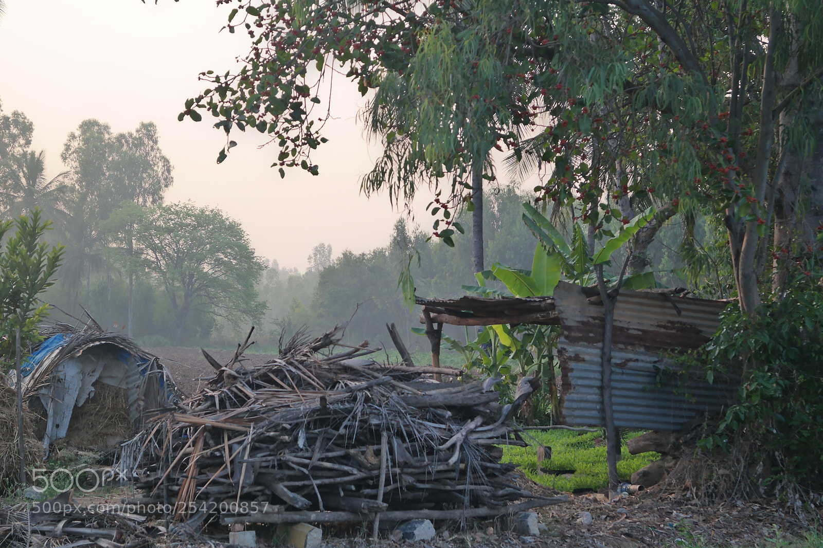 Samsung NX2000 sample photo. Morning ride through village photography