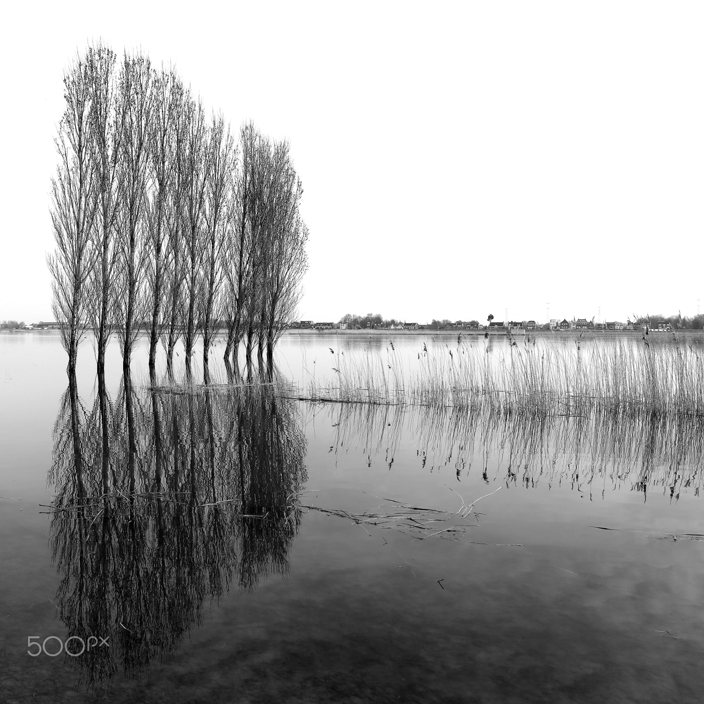 Canon EF-S 10-22mm F3.5-4.5 USM sample photo. Crezeepolder photography