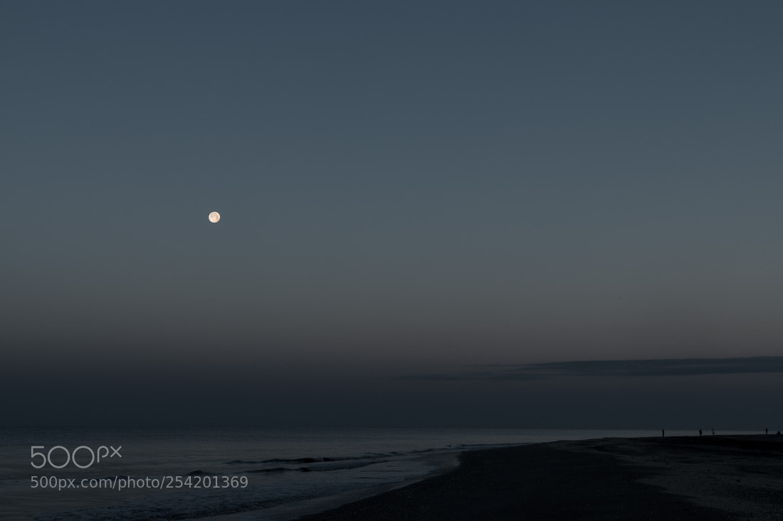 Nikon D5500 sample photo. Beach moon, sanibel island photography