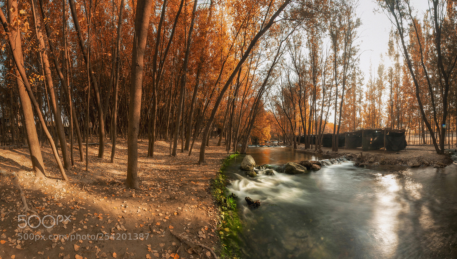 Canon EOS 70D sample photo. Alone in the fall photography
