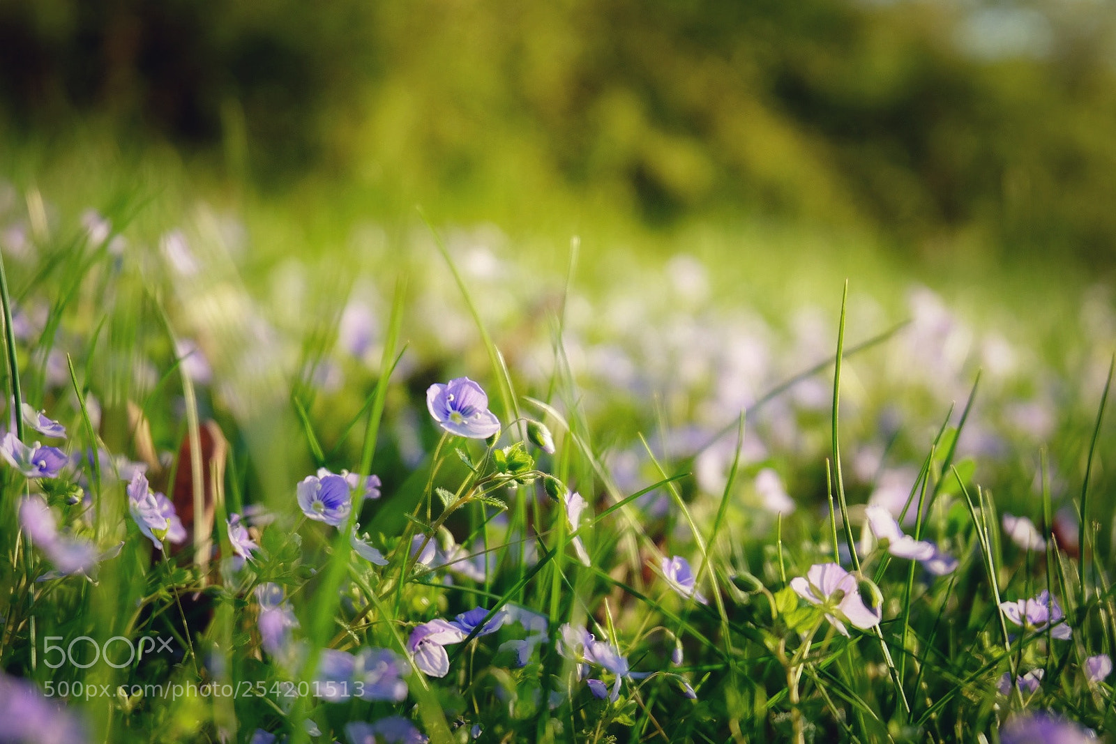 Fujifilm X-T10 sample photo. Untitled photography