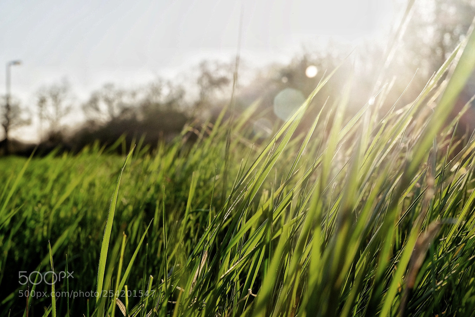 Fujifilm X-T10 sample photo. Untitled photography