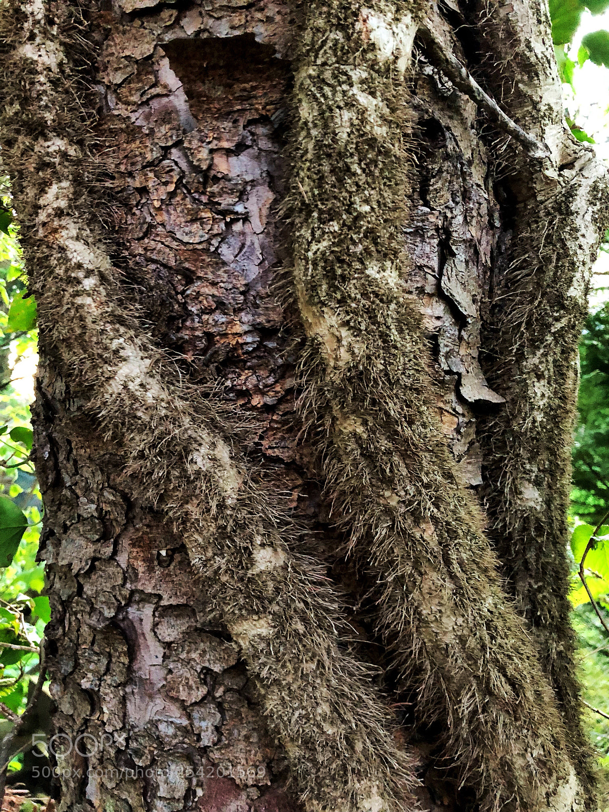 Apple iPhone X sample photo. Old yvi photography