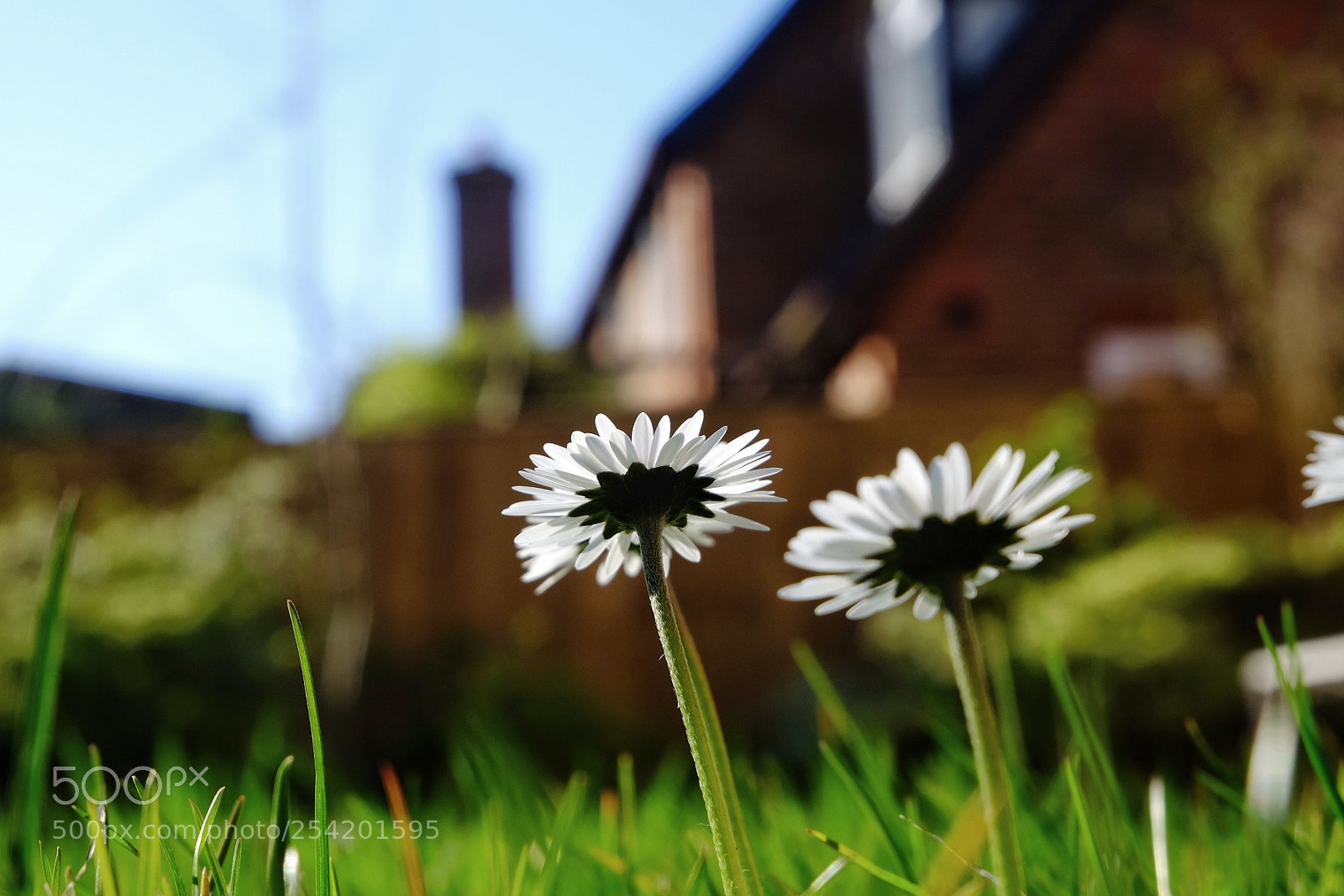 Fujifilm X-T10 sample photo. Untitled photography