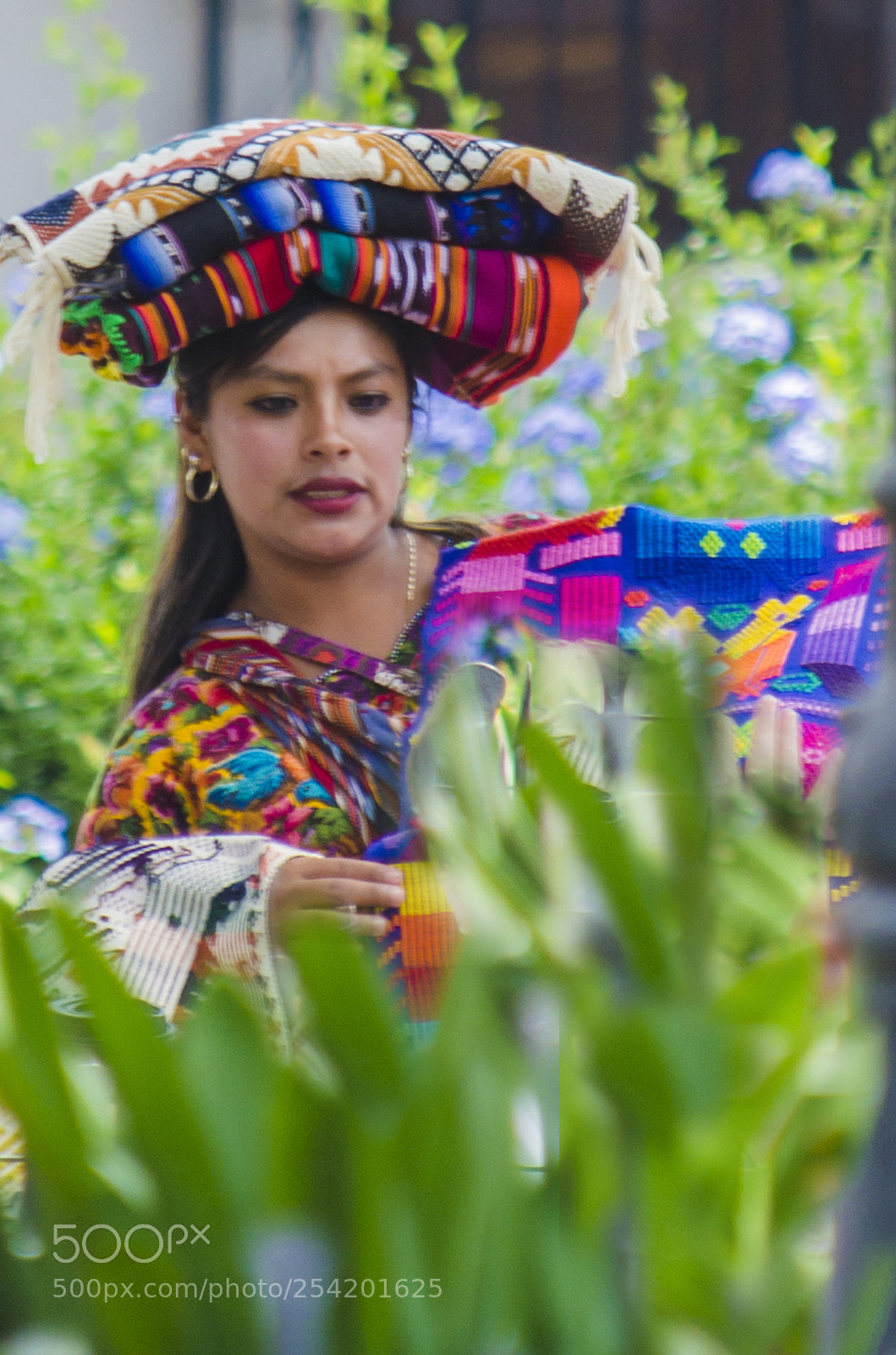 Nikon D5100 sample photo. Beauty and colors of photography