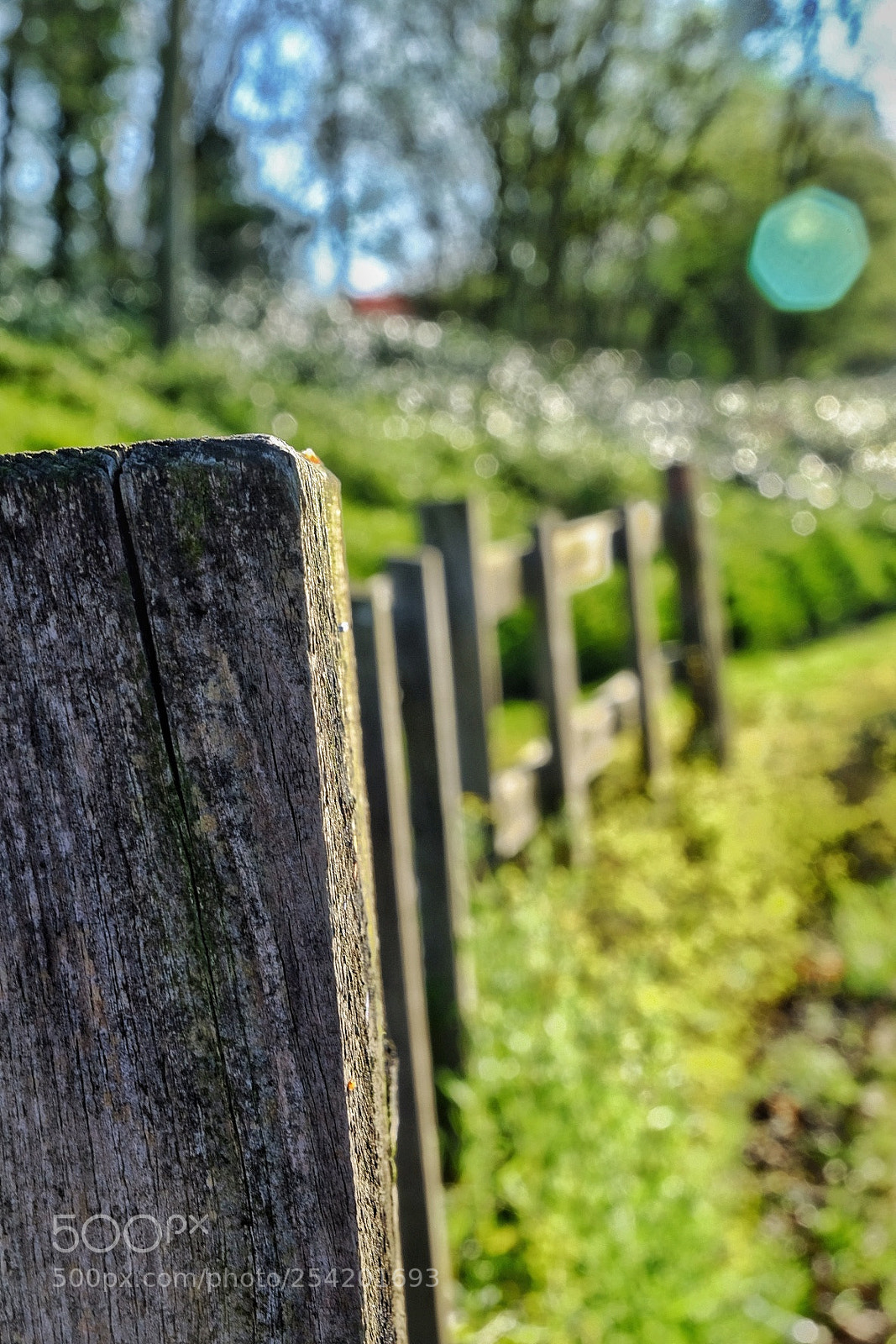 Fujifilm X-T10 sample photo. Untitled photography