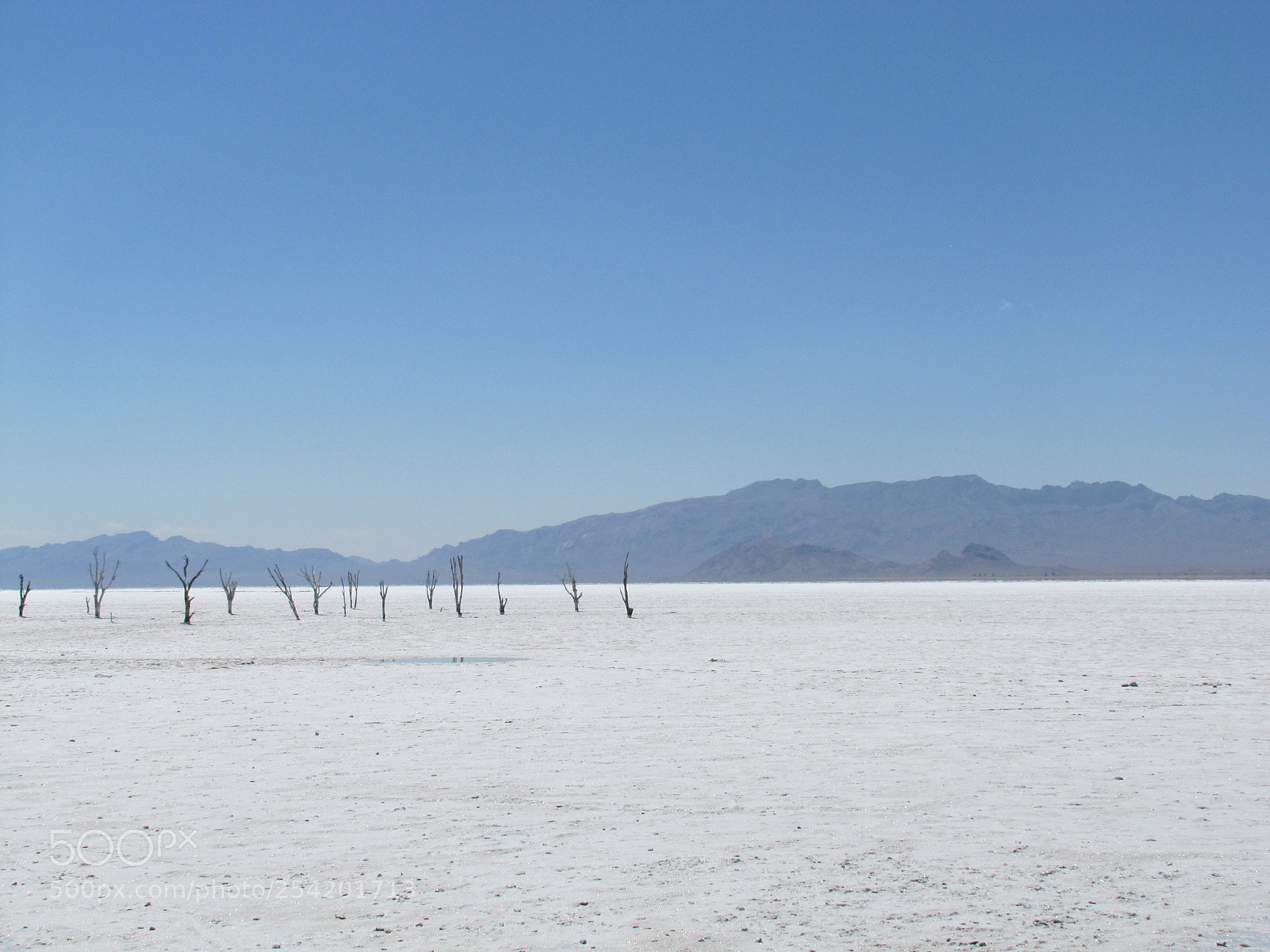 Canon PowerShot SX20 IS sample photo. Salt lake photography