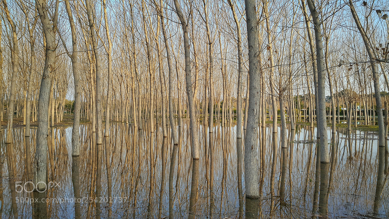 Samsung Galaxy Note4 sample photo. Reflection photography