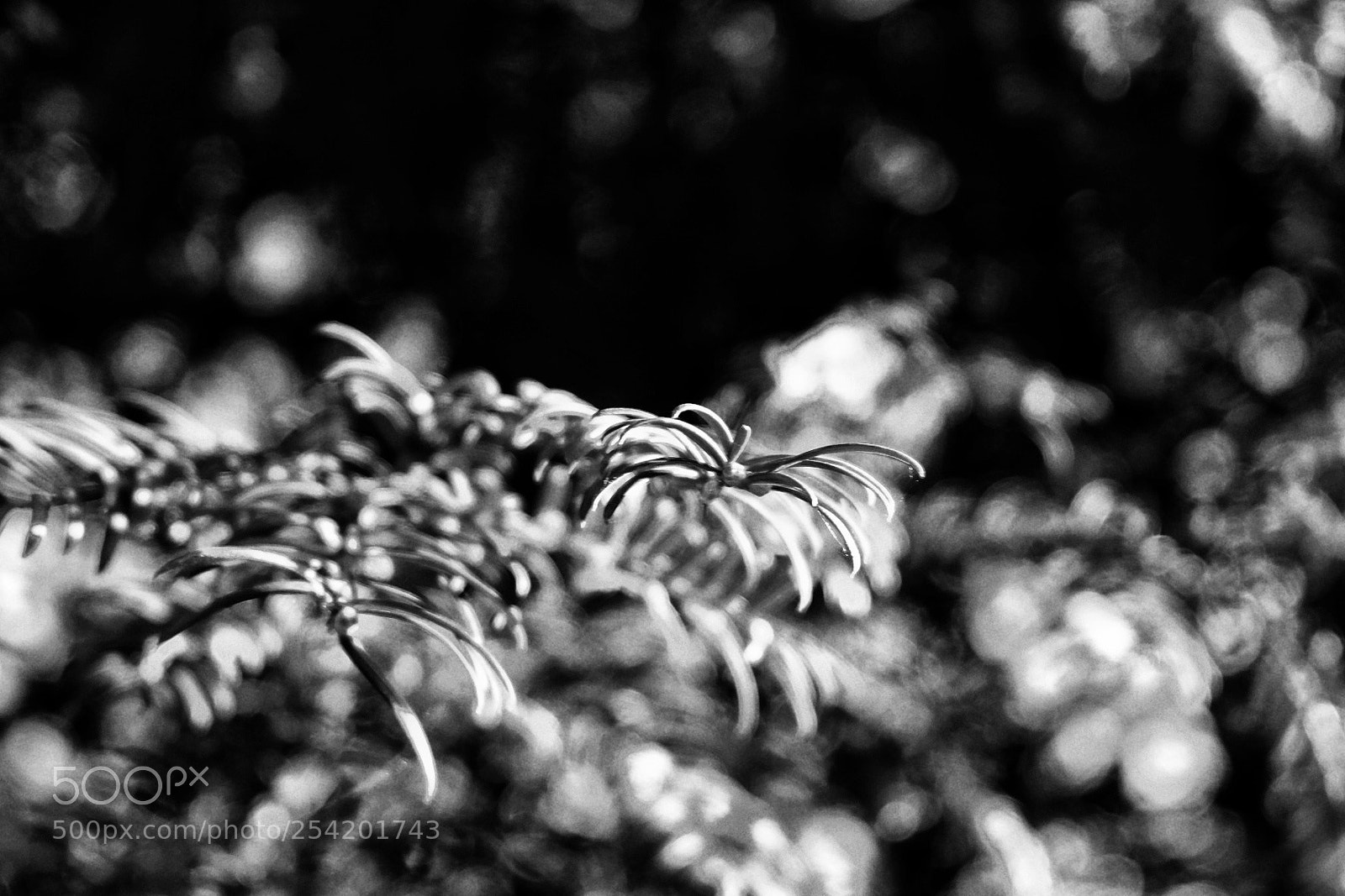 Fujifilm X-T10 sample photo. Untitled photography