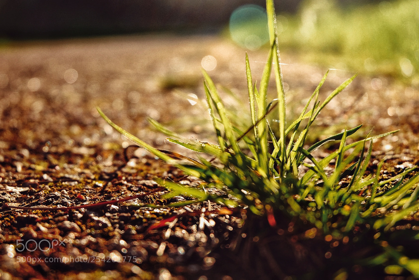 Fujifilm X-T10 sample photo. Untitled photography
