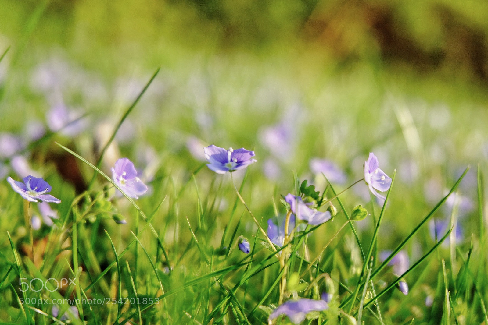 Fujifilm X-T10 sample photo. Untitled photography