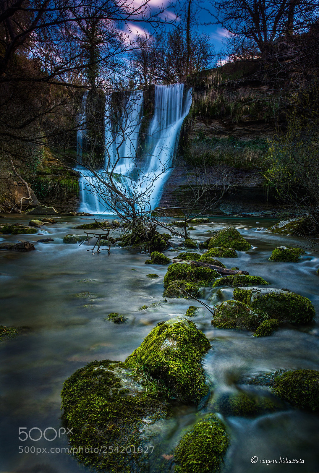 Nikon D5200 sample photo. Moss photography