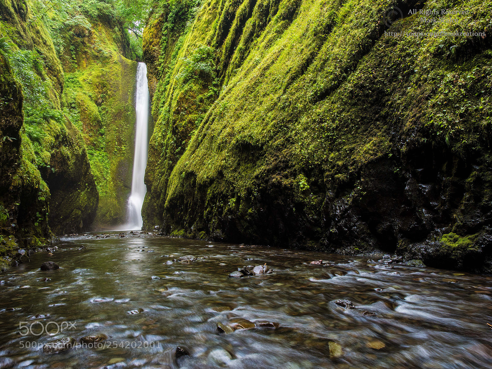 Olympus OM-D E-M1 sample photo. Oneonta falls 2 photography
