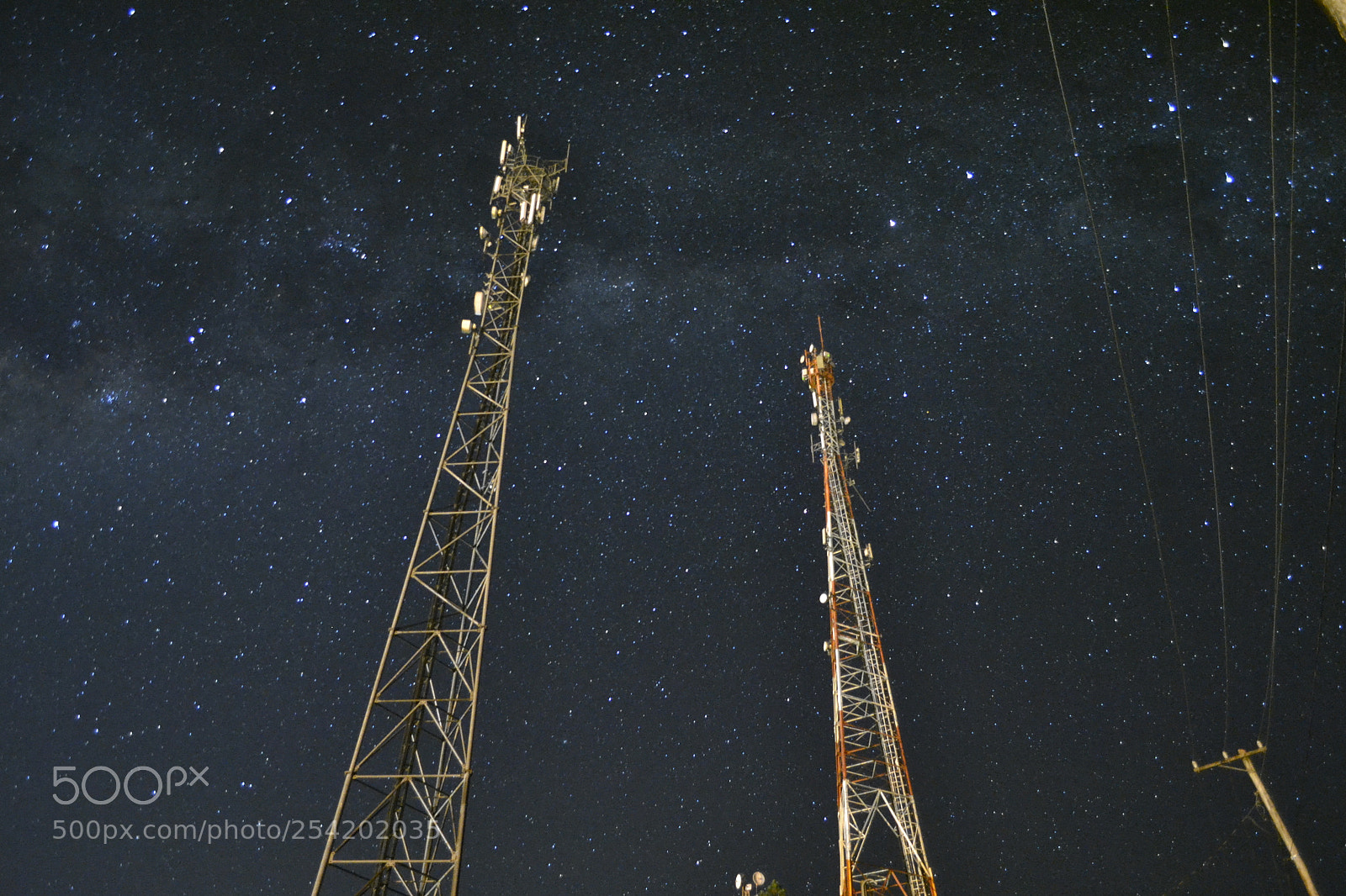 Nikon D3100 sample photo. Star's photography