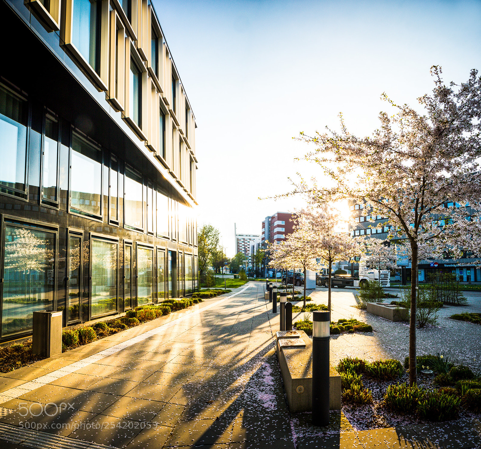 Canon EOS 5D Mark IV sample photo. Spring in the city photography