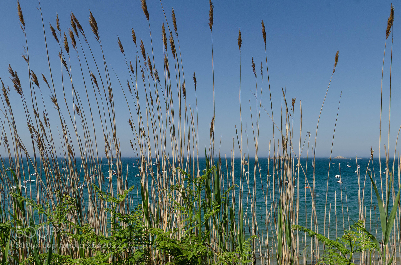 Nikon D7000 sample photo. Horizon photography