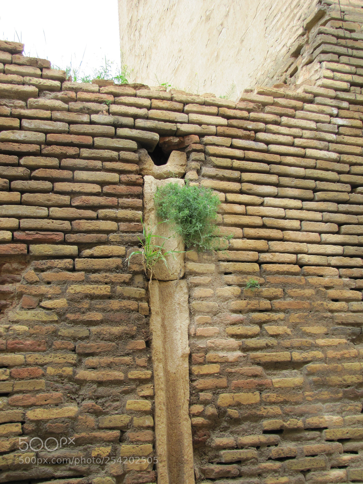 Canon PowerShot SX20 IS sample photo. Planet on wall photography
