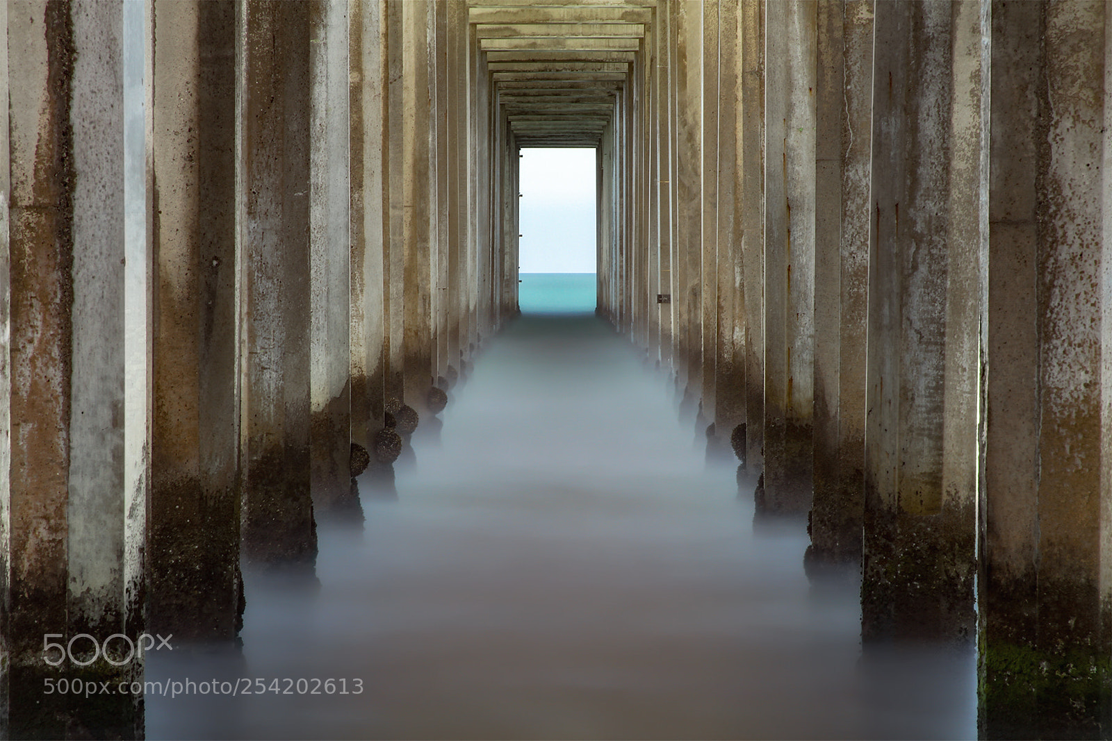 Canon EOS 7D sample photo. Scripps pier photography
