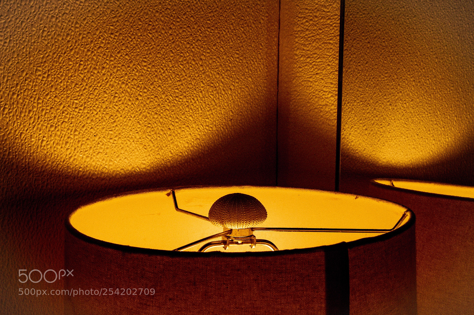 Canon EOS 700D (EOS Rebel T5i / EOS Kiss X7i) sample photo. Lamp photography